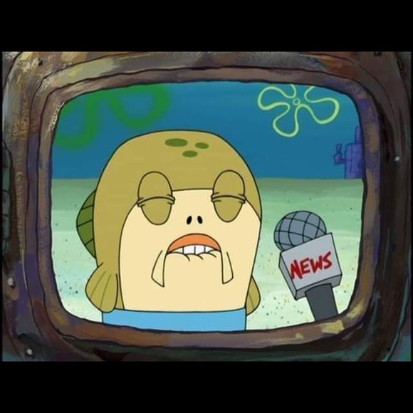 Meet your Posher, Lily - Picture 2 of 3